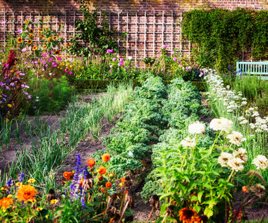 Jak poprawić właściwości gleby w ogrodzie?
