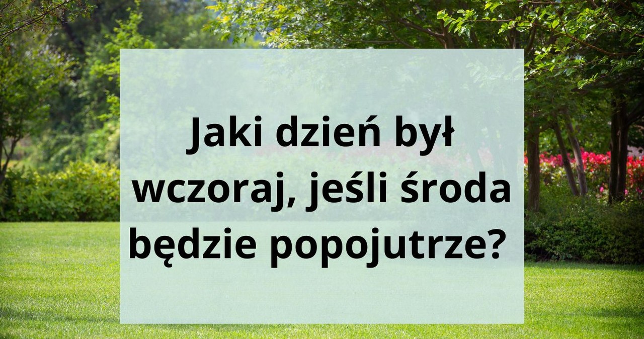 Jak poradzisz sobie z dniami tygodnia w tej łamigłówce logicznej? /Canva Pro /Canva Pro