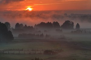 Jak powstaje i kiedy najczęściej występuje w Polsce mgła?