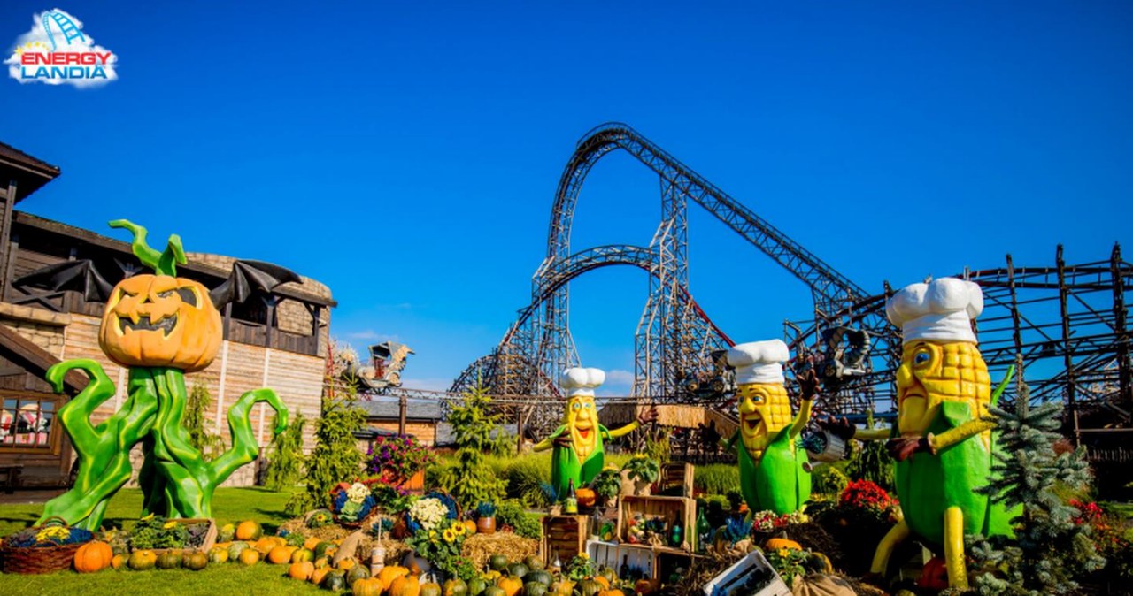 Jak powstaje największa w Polsce jesienna dekoracja? Sprawdź!