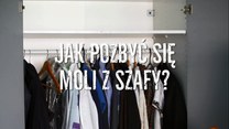 Jak pozbyć się moli z szafy?