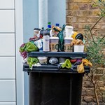 Jak prawidłowo wyrzucać odpady bio? Większość z nas robi to źle