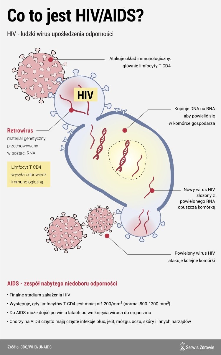 Jak przebiega zakażenie HIV /www.zdrowie.pap.pl
