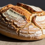 Jak przechowywać chleb na zakwasie? Sprawdzone sposoby na świeżość przez wiele dni