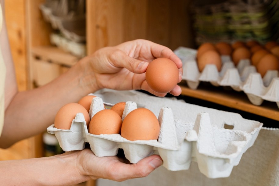 Jak przechowywać jajka? Najlepiej "po amerykańsku" - radzi Mary Berry, gwiazda brytyjskich programów kulinarnych /Shutterstock