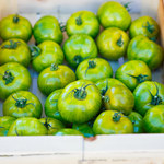 Jak przechowywać zielone pomidory? 