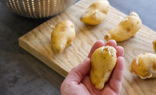 Jak przechowywać ziemniaki? Ten trik podbija internet