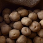 Jak przechowywać ziemniaki, żeby długo były twarde i nie kiełkowały? Patent dziadka nie ma sobie równych 