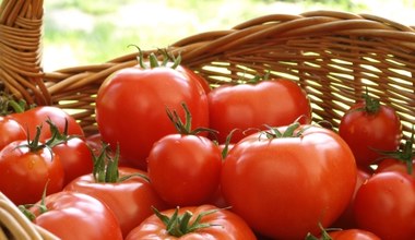 ​Jak przedłużyć świeżość pomidorów? Tego nie rób, bo trzeba będzie je wyrzucić