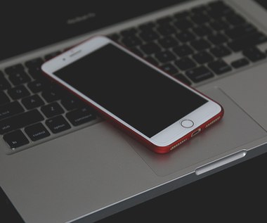 Jak przenieść kontakty i dane z Androida na iPhone’a 14?