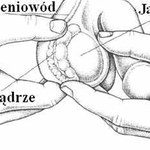 Jak przeprowadzić samokontrolę jąder?