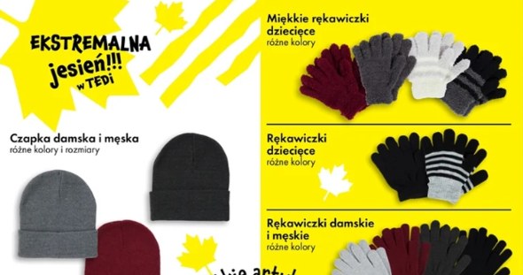 Jak przygotować się na jesień bez wydawania fortuny /Tedi /INTERIA.PL