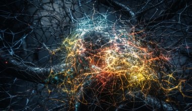 Jak psychodeliki zmieniają mózg? Nowe odkrycie ujawniło wspólny mechanizm