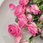 Jak rozmnożyć róże z łodygi? Swojskie warzywo może okazać się pomocne