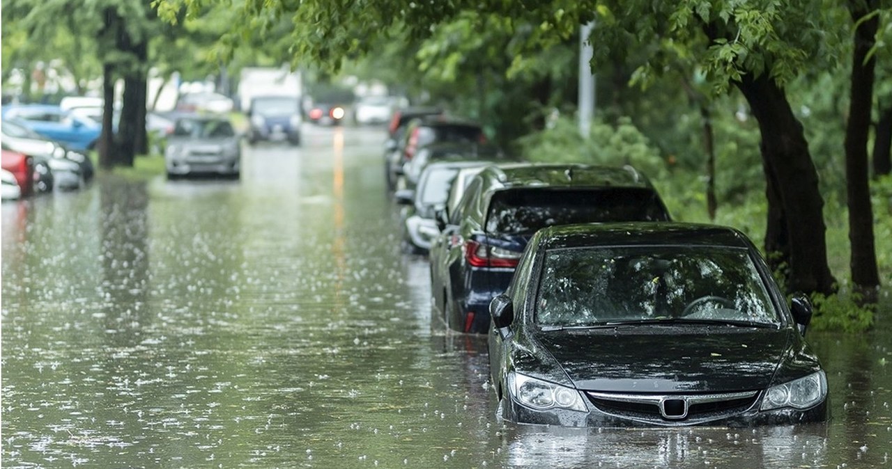 Jak rozpoznać samochód po zalaniu? /Informacja prasowa