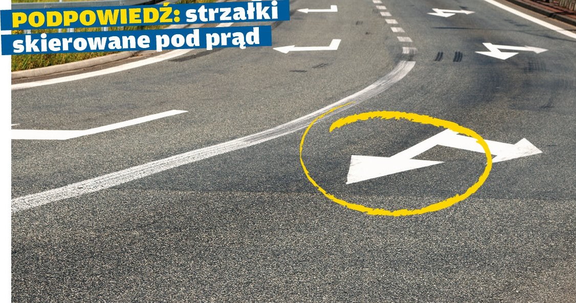 Jak rozpoznać, że poruszasz się nieprawidłowo, jeśli wcześniej nie patrzyłeś na znaki /Motor