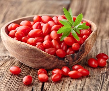 Jak samemu  uprawiać w ogródku jagody goji?