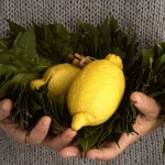 Jak skutecznie i naturalnie odświeżyć dom? Ten przepis podbija sieć