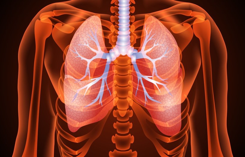 Jak skutecznie zadbać o płuca? /123RF/PICSEL