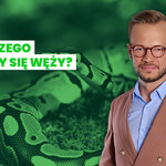 Jak smakuje człowiek? Fakty i mity o wężach