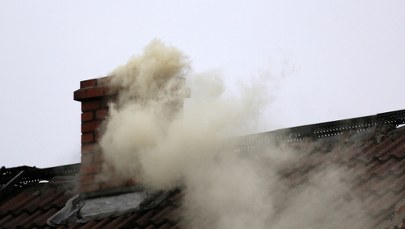 ​Jak smog wpływa na mózg dzieci?