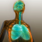 Jak smog wpływa na zdrowie i organizm człowieka?