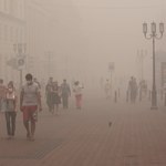 Jak środowisko miejskie wpływa na ryzyko wystąpienia astmy? Nowe badania
