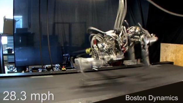 Jak szybko może pobiec robot? Fot. Boston Dynamics /materiały prasowe