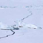 Jak topnieją lodowce na Antarktydzie? Nowe obserwacje NASA
