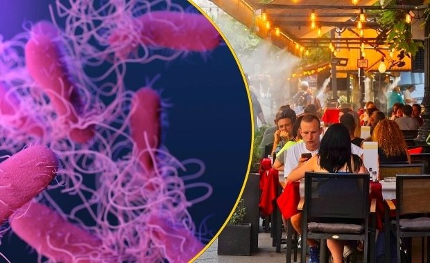 Jak uniknąć zatruć pokarmowych w upalne dni? Sprawdź nasze porady!