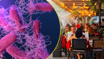 Jak uniknąć zatruć pokarmowych w upalne dni? Sprawdź nasze porady!