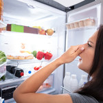 Jak usunąć brzydkie zapachy ze zmywarki, lodówki i innych miejsc w domu?