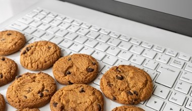 Jak usunąć ciasteczka? Kontroluj pliki cookie, bo cię śledzą