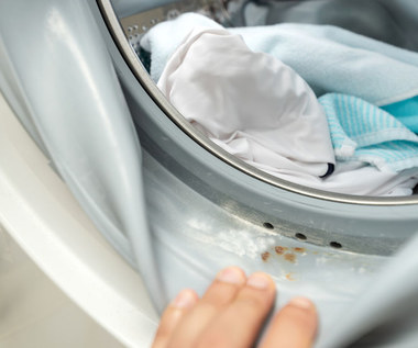 Jak usunąć pleśń z pralki?