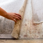Jak usunąć pleśń ze ścian domowymi sposobami? Sprawdź polecane metody