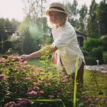 Jak utrudnić pracę szkodnikom upraw? Pomocne mogą być kwiaty