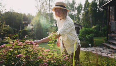 Jak utrudnić pracę szkodnikom upraw? Pomocne mogą być kwiaty