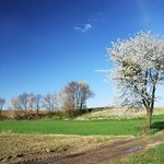 Jak uzyskać odszkodowanie za utratę wartości działki?