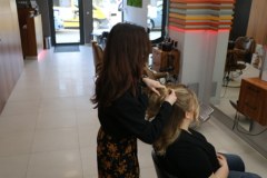 Jak w kilka minut zrobić sobie piękną, wiosenną fryzurę?