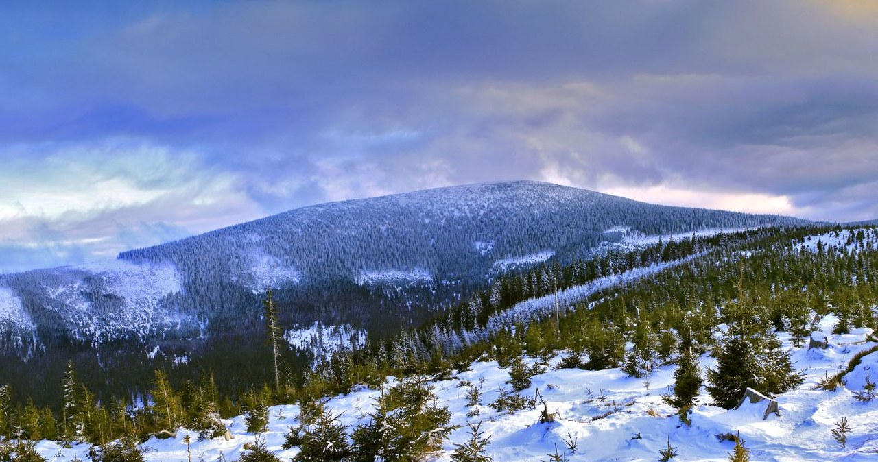 Jak wejść na Śnieżnik zimą? Oto opcja dla początkujących wędrowców /Marek Maruszak / Forum /Agencja FORUM