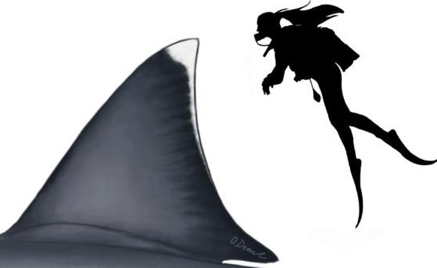 Jak wielki był megalodon? Naukowcy myślą, że wiedzą...