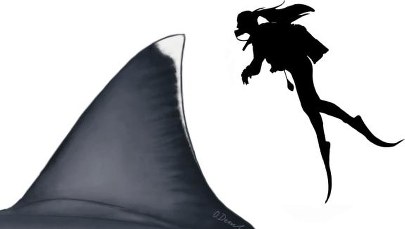 Jak wielki był megalodon? Naukowcy myślą, że wiedzą...