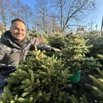 Jak wybrać choinkę? Mamy porady wprost z największej plantacji w Polsce!