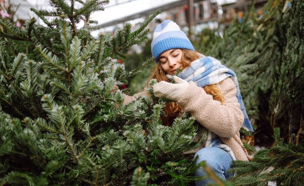Jak wybrać idealną choinkę? Te triki sprawią, że Twoja będzie pachnieć i wyglądać niesamowicie przez całe święta