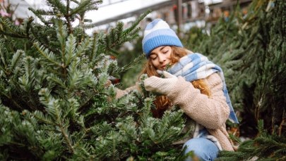 Jak wybrać idealną choinkę? Te triki sprawią, że Twoja będzie pachnieć i wyglądać niesamowicie przez całe święta