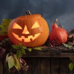 Jak wyciąć dynię na Halloween i zrobić jesienną ozdobę ogrodu?