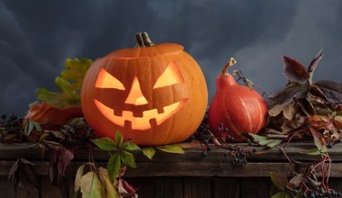 Jak wyciąć dynię na Halloween i zrobić jesienną ozdobę ogrodu?