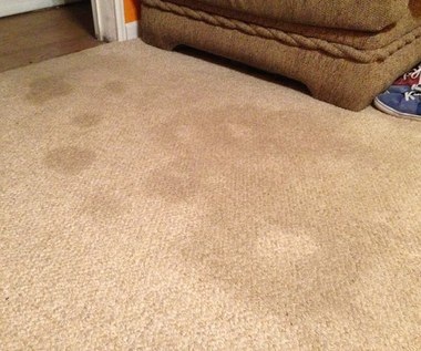 Jak wyczyścić dywan z trudnych plam?
