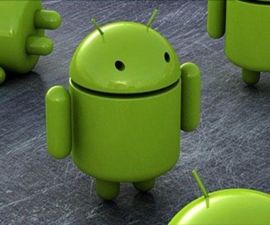 Jak wygląda przeciętny użytkownik Androida?