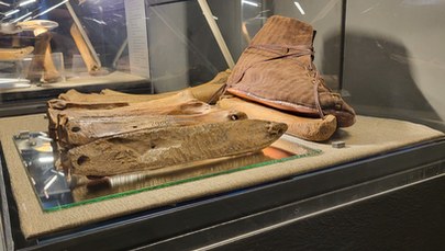 Jak wyglądała zima w średniowieczu? Przybliży to wystawa w poznańskim rezerwacie